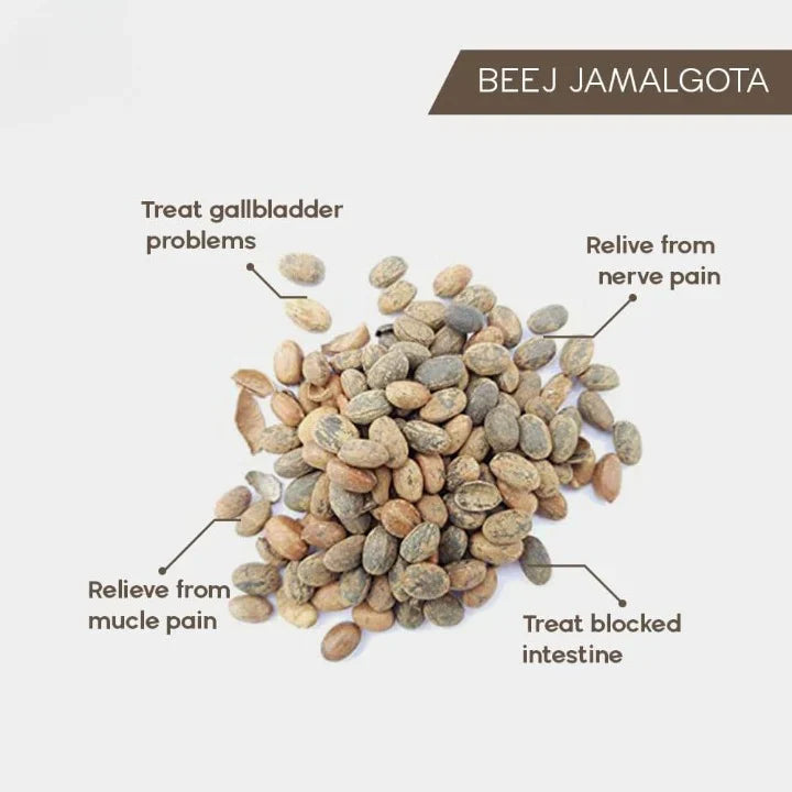 🌿 Jamalgota Ayurvedic Hair Growth Powder